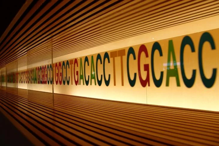 Picture of DNA - Miki Yoshihito